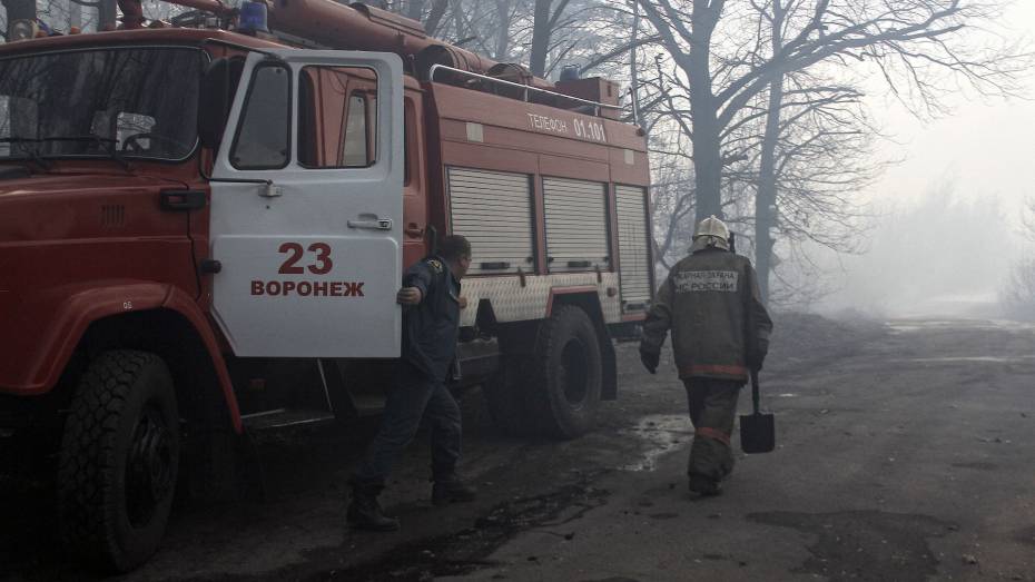 В зону риска лесных и ландшафтных пожаров вошли 847 населенных пунктов Воронежской области