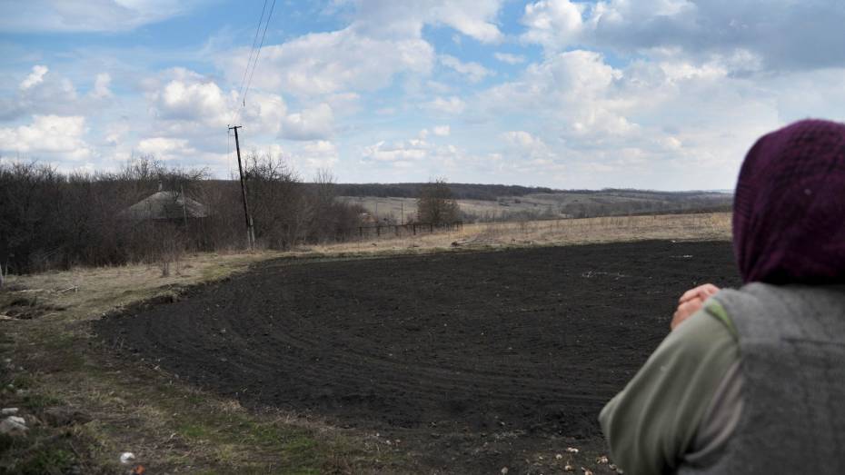 Суд обязал живущую в Одессе гражданку Украины продать участок земли в Воронежской области