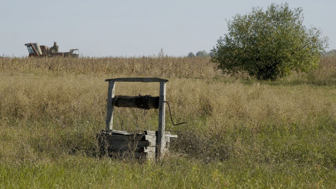 Житель Воронежской области убил соседа топором и бросил тело в колодец