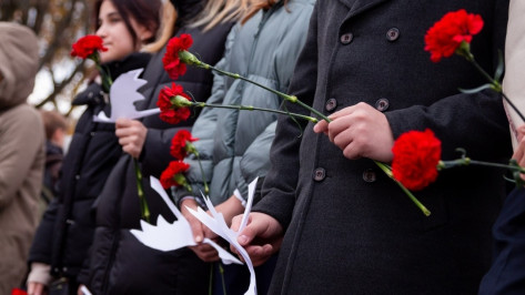 Воронежцев пригласили к участию в памятной акции «Дни белых журавлей»