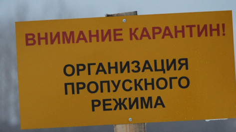 Глава Воронежской области подписал указ о ликвидации АЧС в Аннинском районе