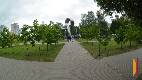 В Воронеже запретят парковку в районе Кольцовского сквера и парка Победы 2 августа