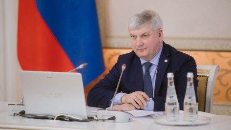 Губернатор Александр Гусев призвал воронежцев не делиться записями с мест падений БПЛА и работы ПВО