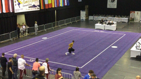 Воронежские спортсмены привезут 4 медали с чемпионата Европы по шаолиньскому ушу