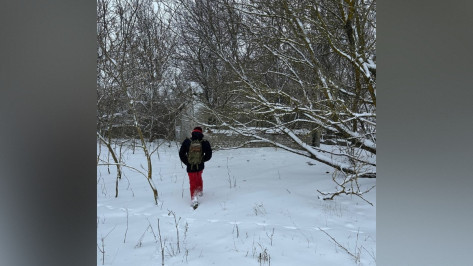 Волонтеры рассказали о поисках потерявшейся в Воронежской области 88-летней женщины