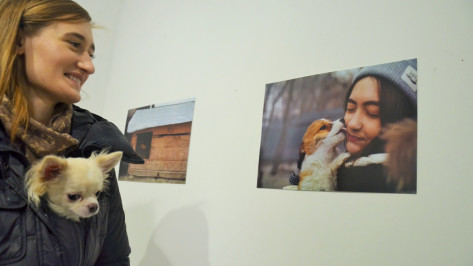 Волонтеры собрали 20 тыс рублей для бездомных собак Воронежа в галерее «Х.Л.А.М» 