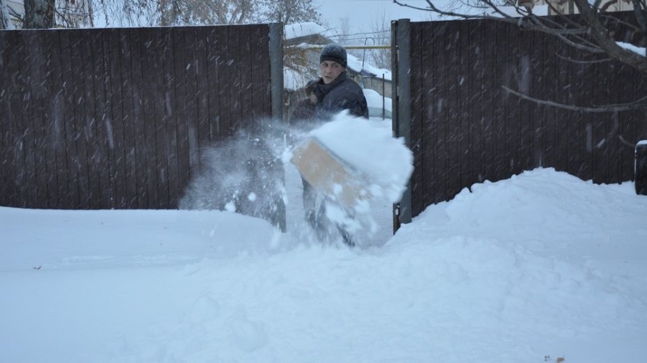 В Воронеже высота сугробов после снегопадов достигла 52 см