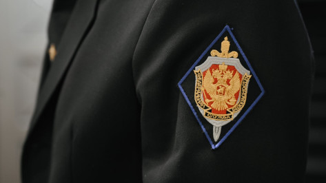 Губернатор Воронежской области Александр Гусев поздравил работников органов безопасности с профессиональным праздником