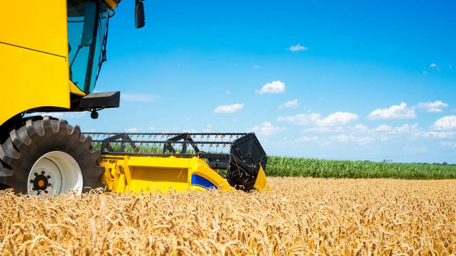 Ситуацию на рынке сельхозтехники обсудили на международной выставке AGRAVIA 2026