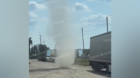 В Воронежской области на трассе М-4 «Дон» появился мини-смерч: видео