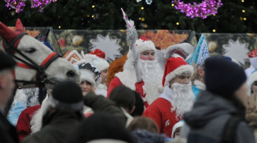 В Воронеже на новогодних каникулах организуют 4,5 тыс мероприятий