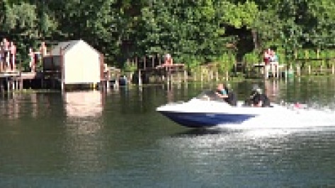 Участников воровской «сходки» под Воронежем отпустили по домам в тот же день (ВИДЕО)