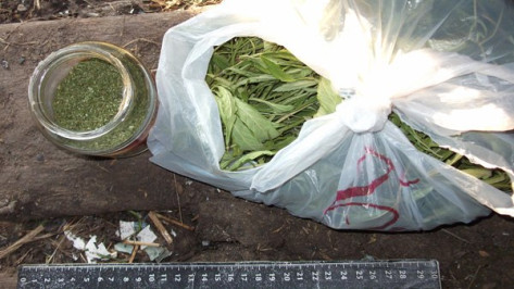 В доме жителя Воронежской области нашли крупную партию марихуаны