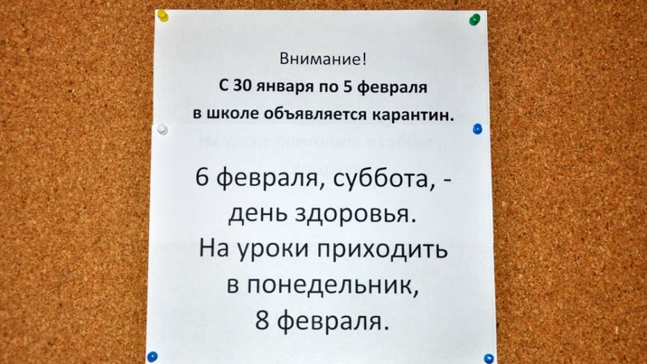 В Павловском районе эпидпорог превышен в 1,6 раза