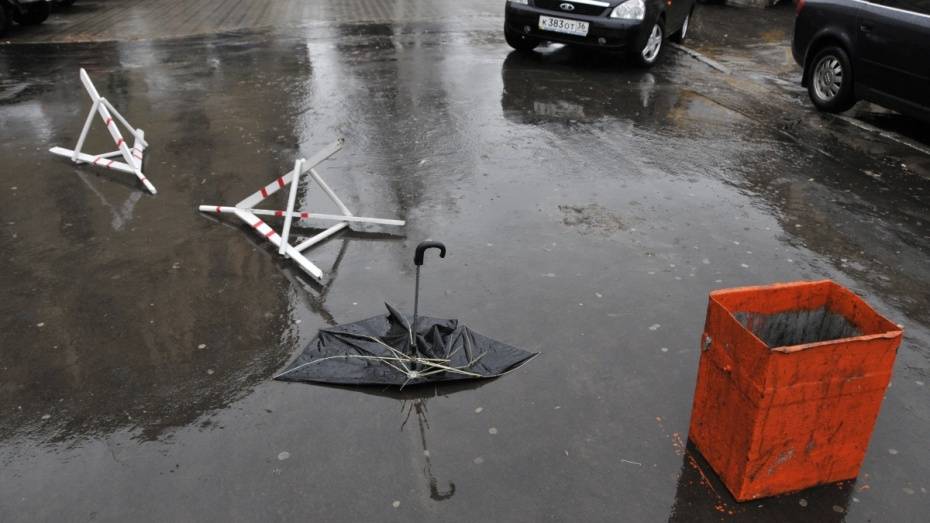 Желтый уровень опасности из-за сильного ветра объявили в Воронежской области