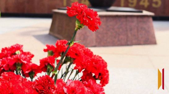 Под Воронежем обнаружили останки двух военнослужащих Красной армии