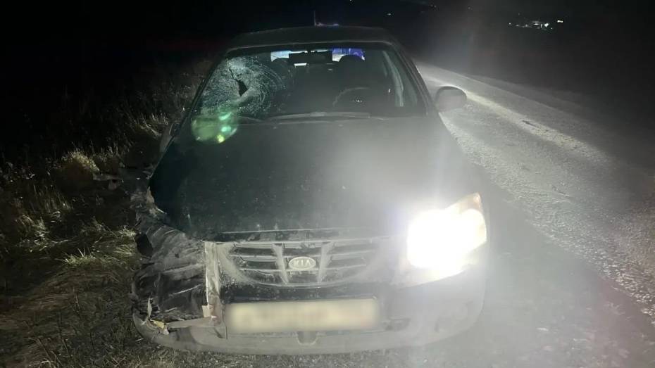 Под Воронежем автомобиль KIA насмерть сбил пешехода