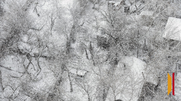 Воронежцев предупредили о сильном ветре и метели 26 и 27 декабря