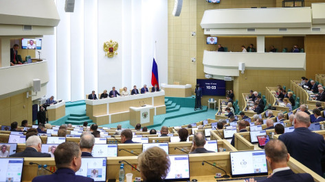 Воронежский сенатор Сергей Лукин: новые правила использования маткапитала защитят права семей и детей