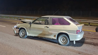 В Воронежской области в аварии пострадали два маленьких ребенка и двое взрослых