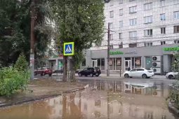 В Воронеже из-за прорыва канализации затопило цокольный этаж магазина на улице Хользунова