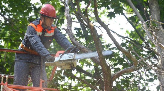 Воронежские энергетики отремонтируют почти 1,5 тыс км линий электропередач к октябрю