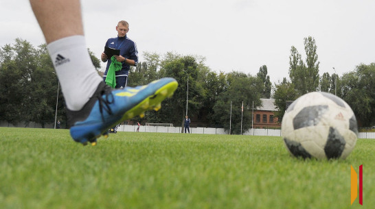 В Воронеже местная фирма построит футбольное поле за 93,5 млн рублей