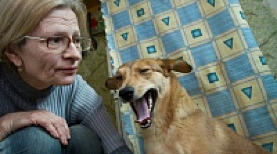 Воронежская пенсионерка учит парализованных собак заново ходить и даже бегать