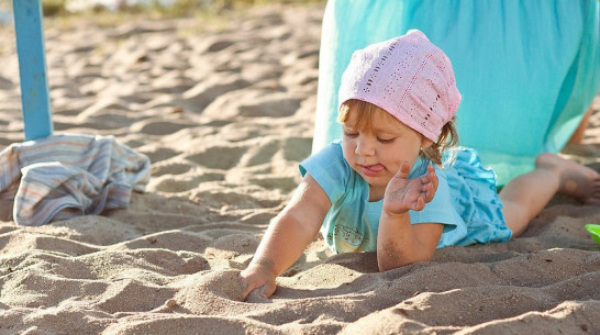 Воронеж стал седьмым по популярности у туристов городом России