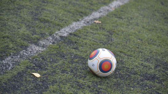 Воронежский «Факел» подписал пятерых футболистов