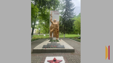 Хохольские активисты высадят аллею возле братской могилы