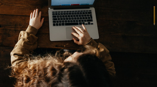 Воронежцев предупредили о схеме мошенничества с электронными дневниками