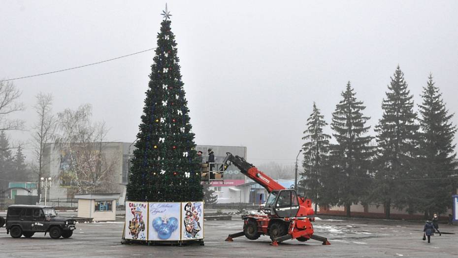 В центре Репьевки впервые установили искусственную елку