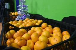 Ну и фрукт! Воронежский диетолог раскрыла секрет самого новогоднего продукта – мандарина
