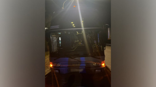 Под Воронежем водитель рейсового автобуса сбил велосипедиста