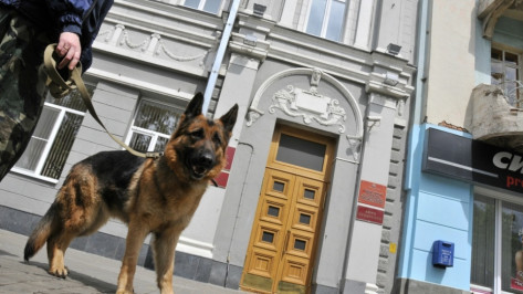 Спецслужбы в Воронеже поработают в усиленном режиме на День города