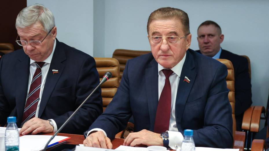 Воронежский сенатор Сергей Лукин: необходим корректный реестр цен в строительстве