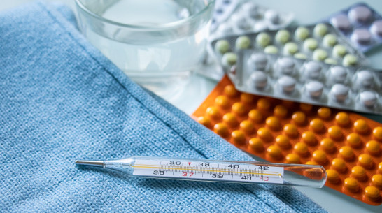 В Воронежской области за неделю ОРВИ заболели 9,6 тыс человек