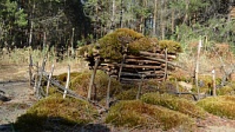 В Богучаре ищут строителя избушки из веток и мха