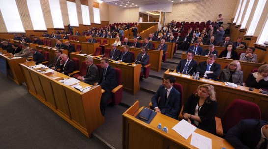 Запрет на бизнес может сократить список воронежских депутатов