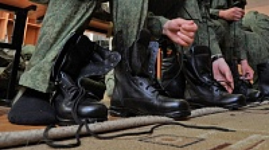 Полицейские выловили 229 воронежских уклонистов от весеннего призыва