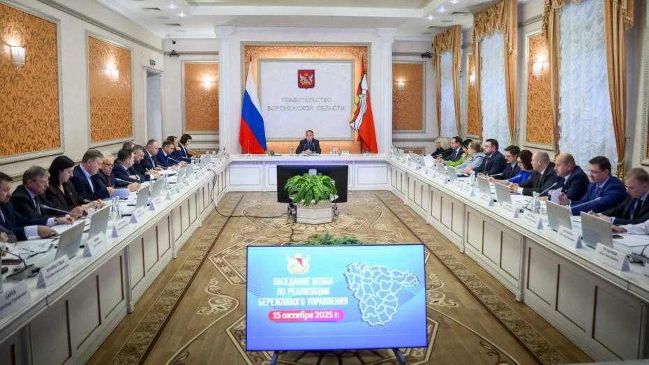 В правительстве Воронежской области прошло первое заседание штаба по бережливому управлению