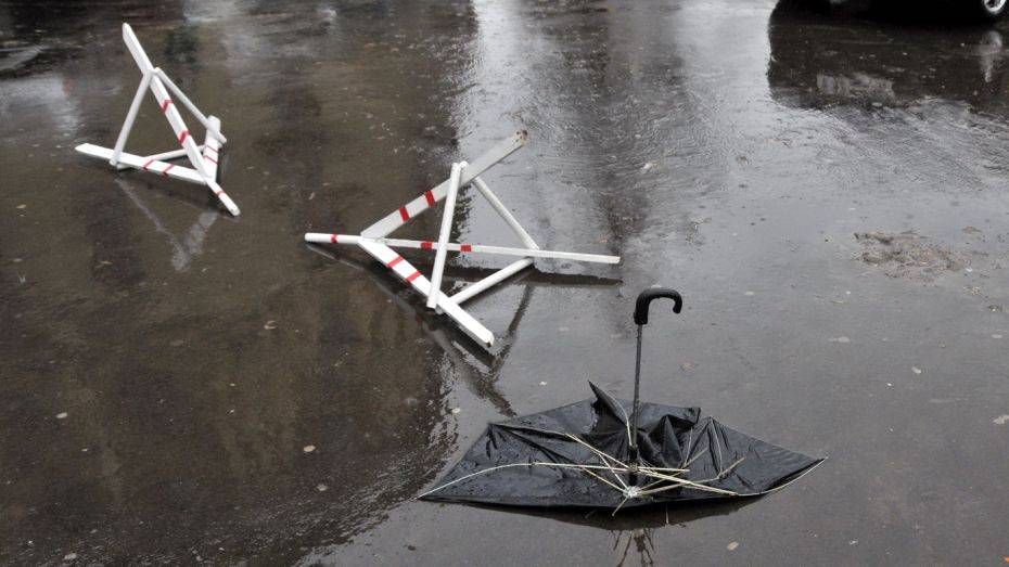 Штормовое предупреждение из-за сильного ветра продлили в Воронежской области