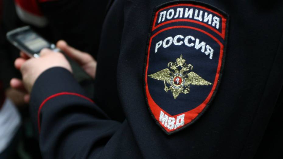 Власти Воронежской области потратят до 29 млн рублей на закупку патрульных машин