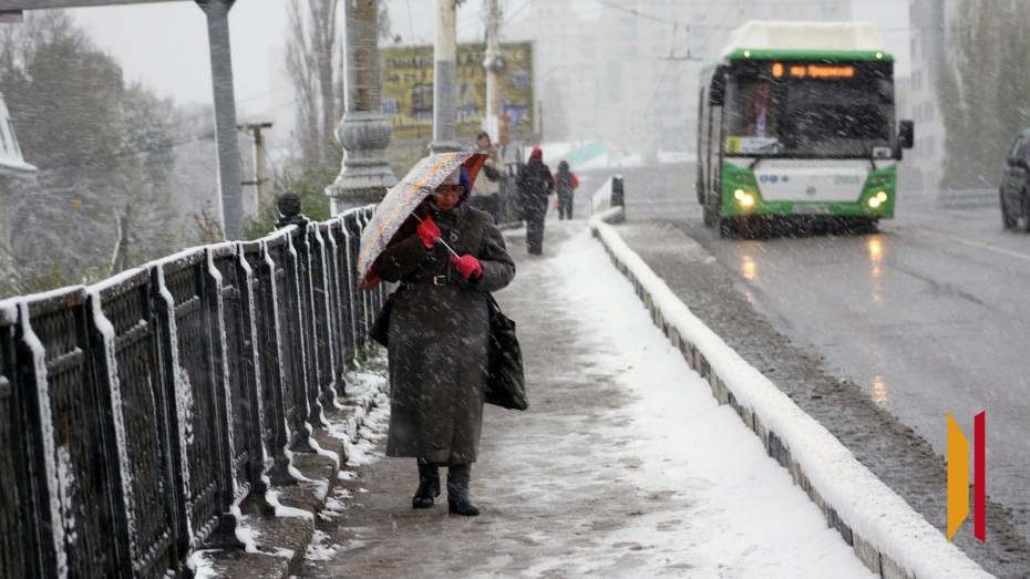В Воронежской области продлили желтый уровень погодной опасности из-за тумана и сильного мокрого снега