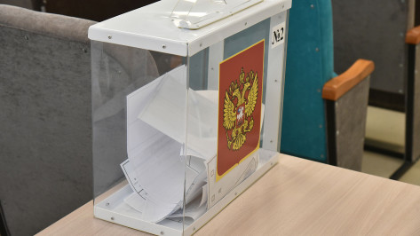 Воронежская область помогла подшефным районам ЛНР организовать референдум