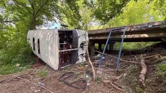 Александр Бастрыкин взял на контроль дело о крушении автобуса с пассажирами в Воронежской области