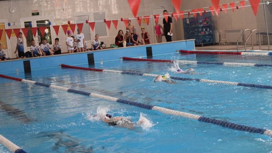 Рамонцы взяли 5 золотых медалей на открытом первенстве района по плаванию