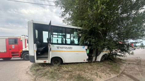 В полиции и мэрии Воронежа прокомментировали пьяное ДТП с маршруткой