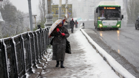 Синоптики рассказали, сколько снега выпало в Воронеже 26 октября